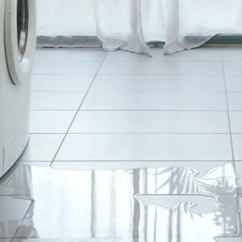 Appliance Leak Cleanup in Bethel, WA